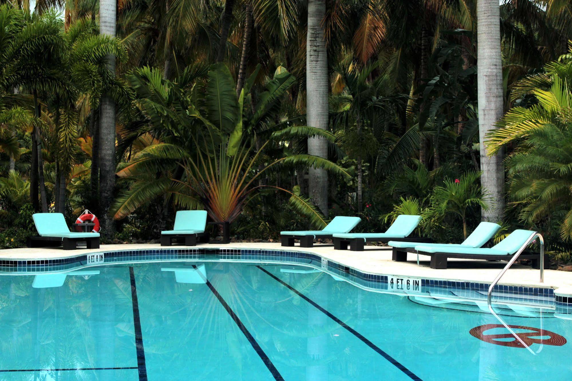 Curtain Bluff Hotel Old Road Ngoại thất bức ảnh